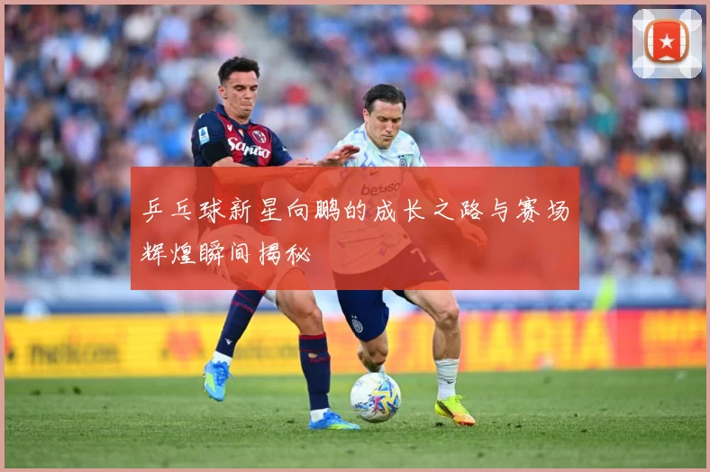 乒乓球新星向鹏的成长之路与赛场辉煌瞬间揭秘