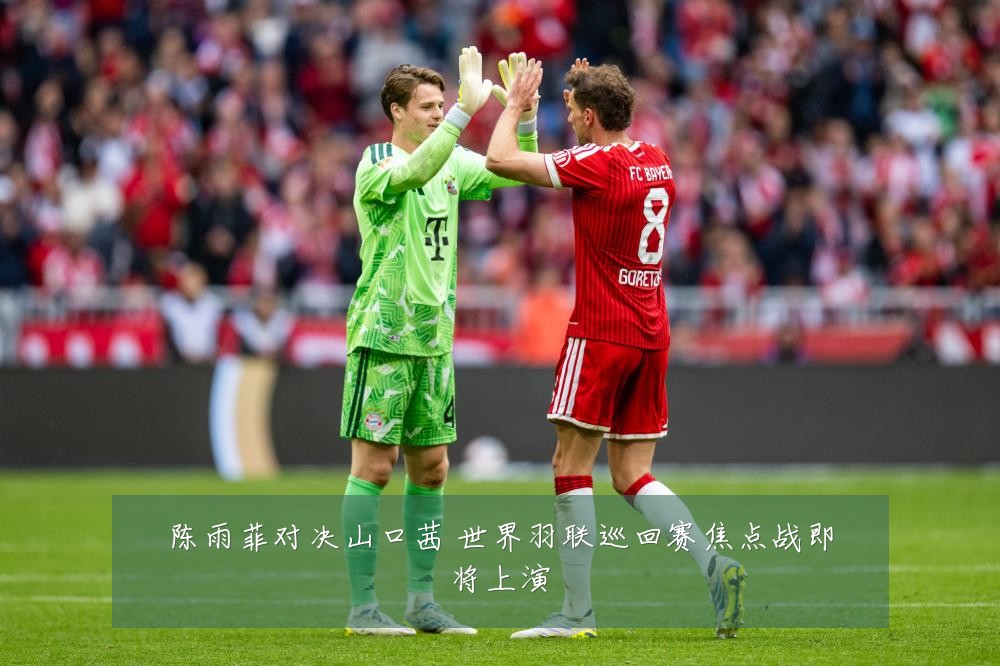 陈雨菲对决山口茜 世界羽联巡回赛焦点战即将上演